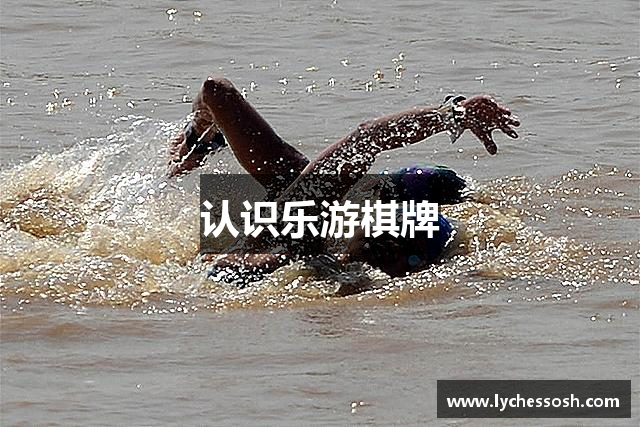 认识乐游棋牌